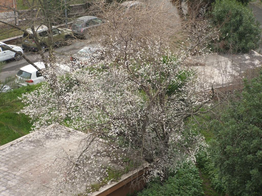 罗马拉库班尼纳住宿加早餐旅馆住宿加早餐旅馆 外观 照片