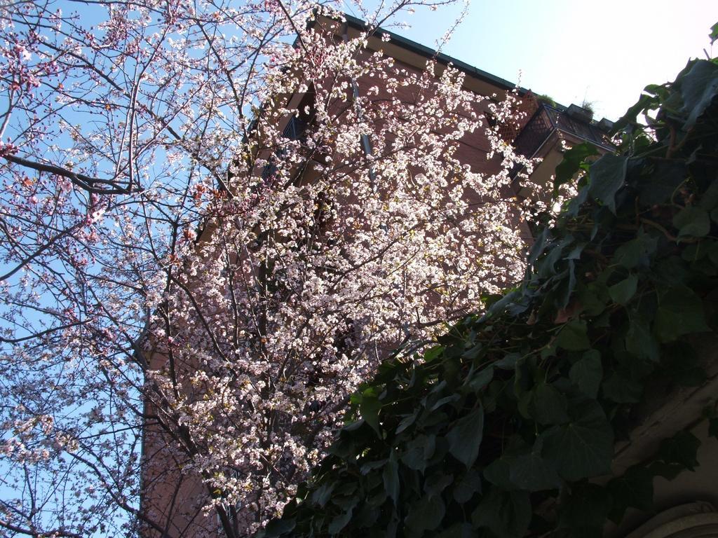 罗马拉库班尼纳住宿加早餐旅馆住宿加早餐旅馆 外观 照片